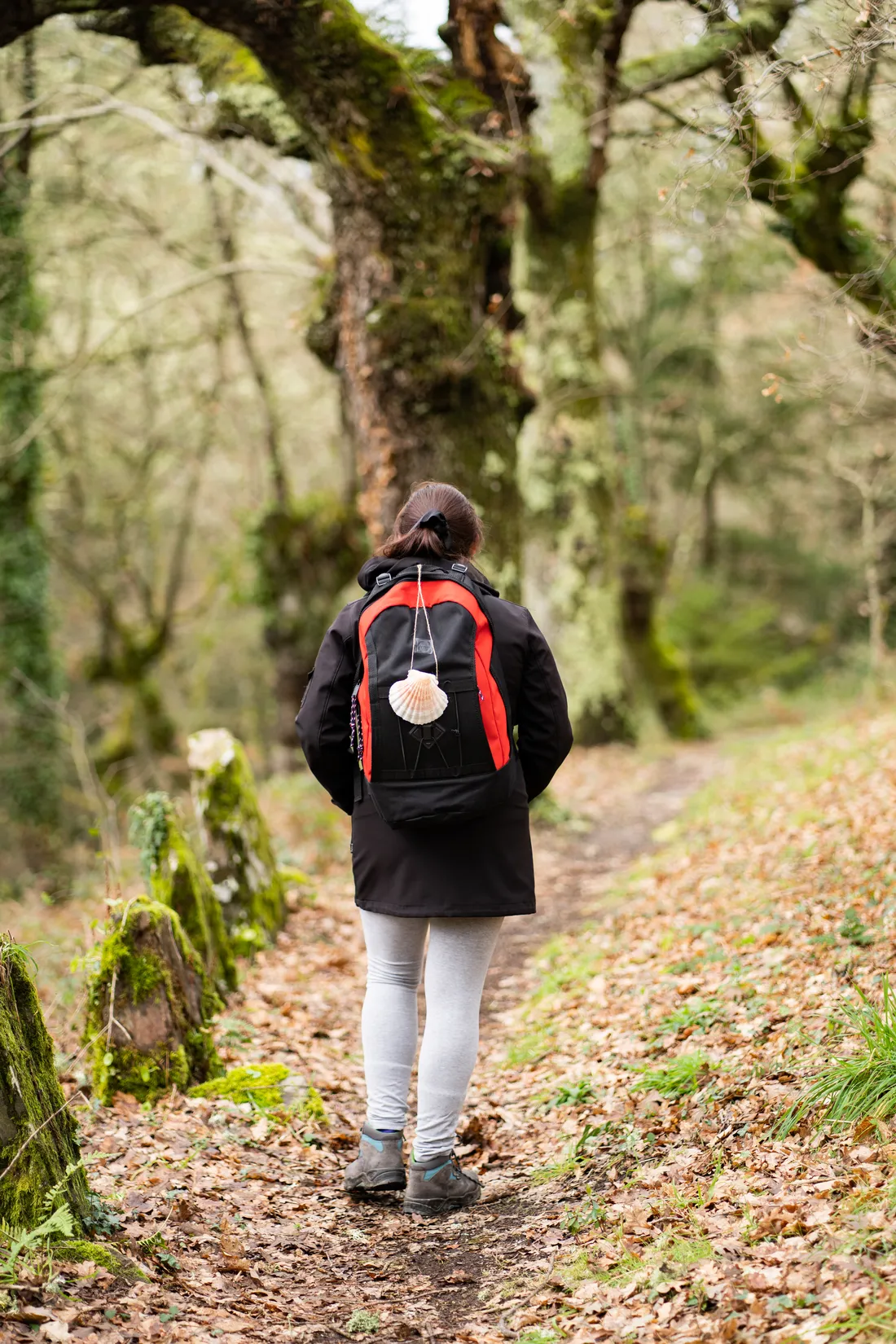 Peregrina con mochila y vieira caminando por un sendero de bosque